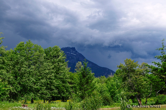_MWB8632-Coming ThunderStorm. Bella Coola Valley - late Spring