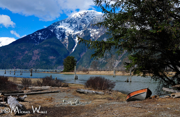 _MWB4162-Bella Coola Estuary-early Spring view